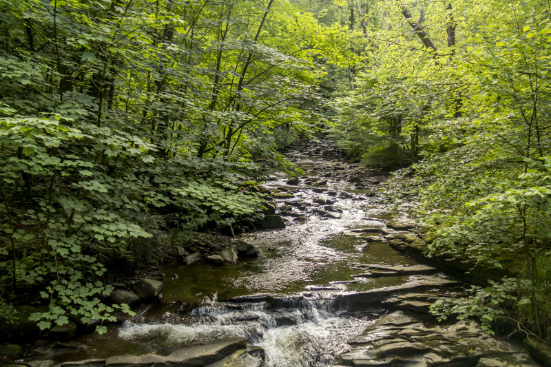 Photograph of Walking Route - Image 11