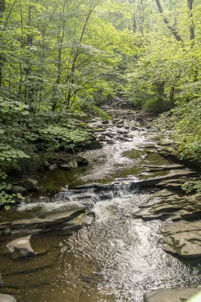 Photograph of Walking Route - Image 13