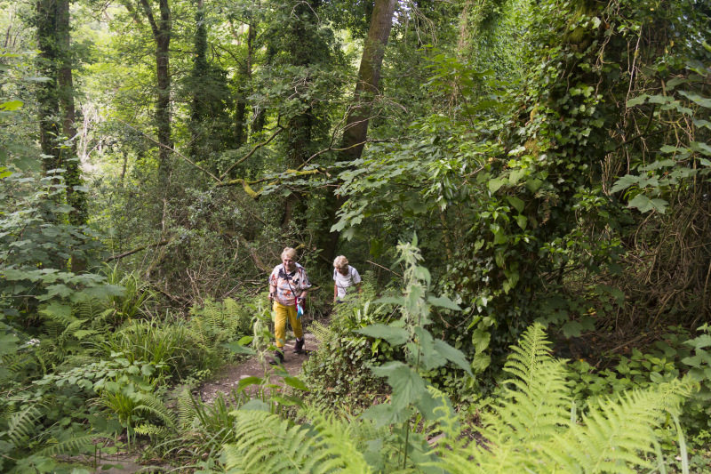 Photograph of Walking Route - Image 14