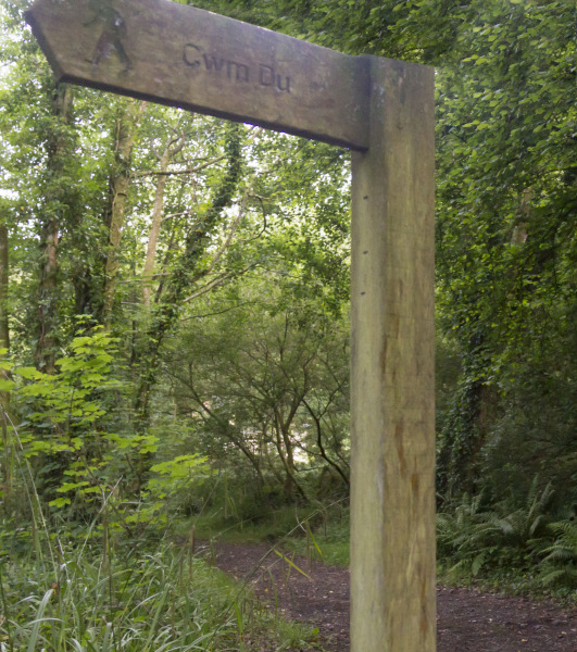 Photograph of Walking Route - Image 15