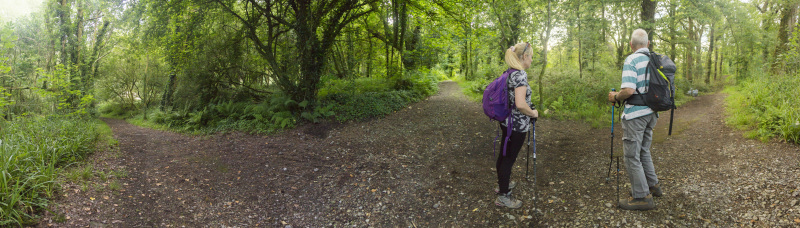Photograph of Walking Route - Image 16