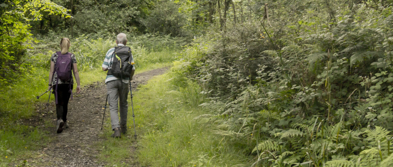 Photograph of Walking Route - Image 17