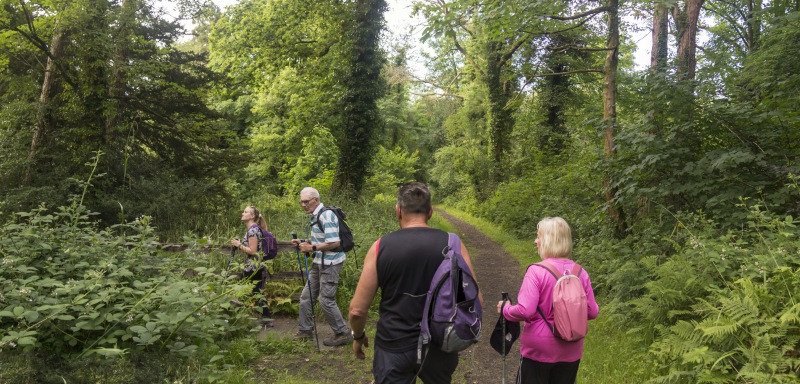 Photograph of Walking Route - Image 18