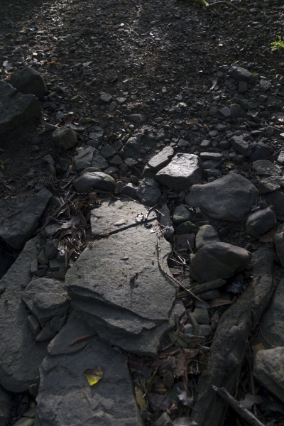 Photograph of Walking Route - Image 20