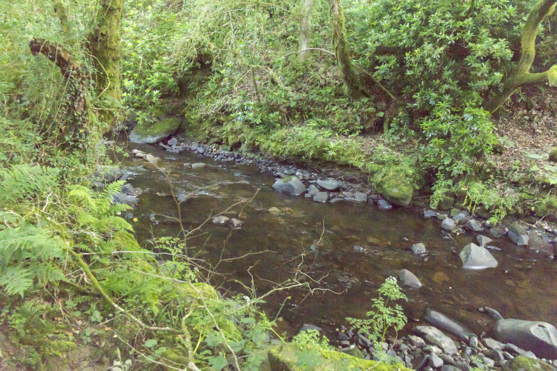 Photograph of Walking Route - Image 22