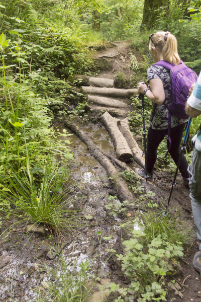 Photograph of Walking Route - Image 23