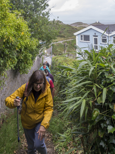 Photograph of Walking Route - Image 4