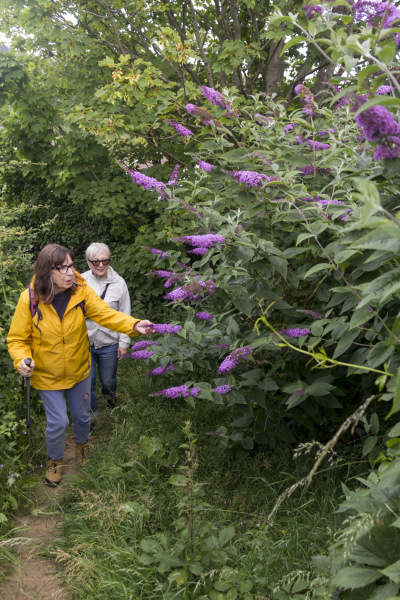 Photograph of Walking Route - Image 5