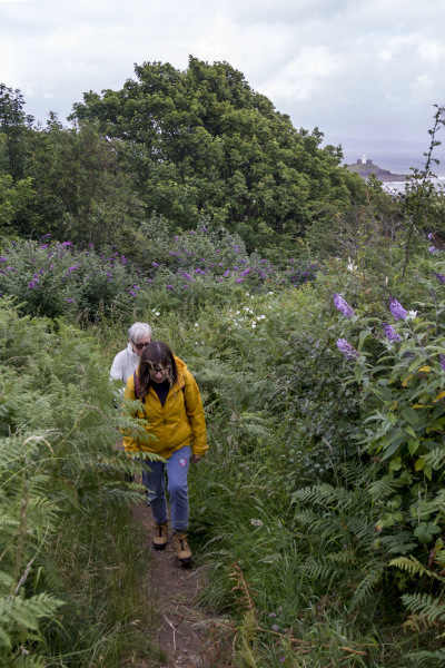 Photograph of Walking Route - Image 6