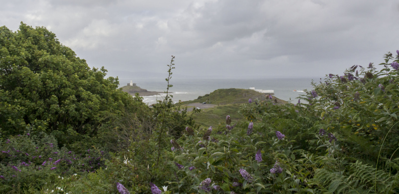 Photograph of Walking Route - Image 7