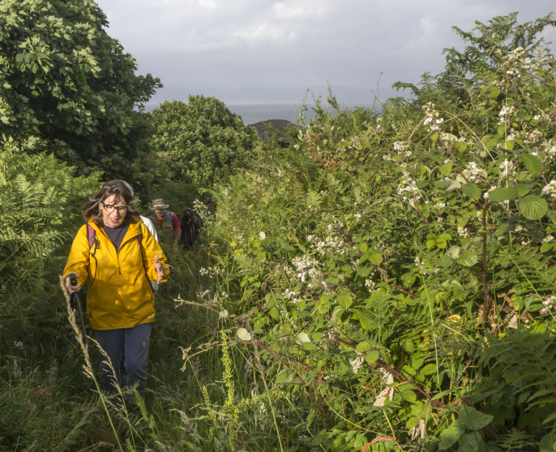 Photograph of Walking Route - Image 8