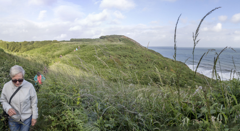 Photograph of Walking Route - Image 15