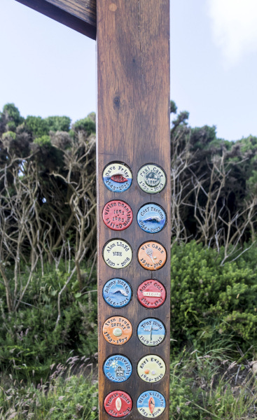 Photograph of Walking Route - Image 17