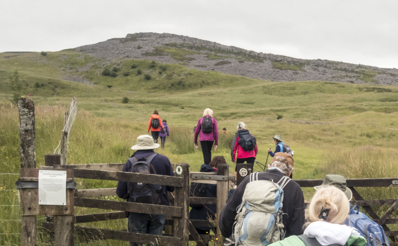 Photograph of Walking Route - Image 5