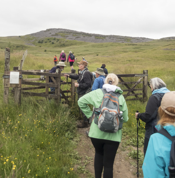 Photograph of Walking Route - Image 6