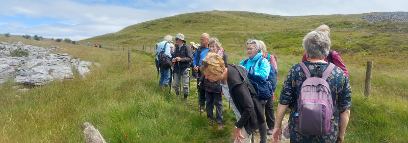 Photograph of Walking Route - Image 17