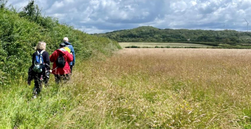 Photograph of Walking Route - Image 7