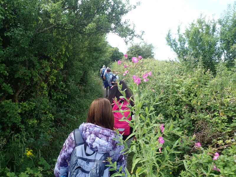 Photograph of Walking Route - Image 12