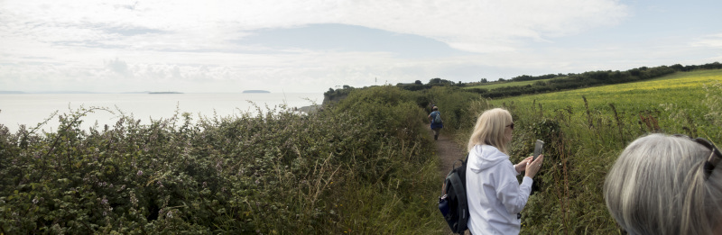 Photograph of Walking Route - Image 14