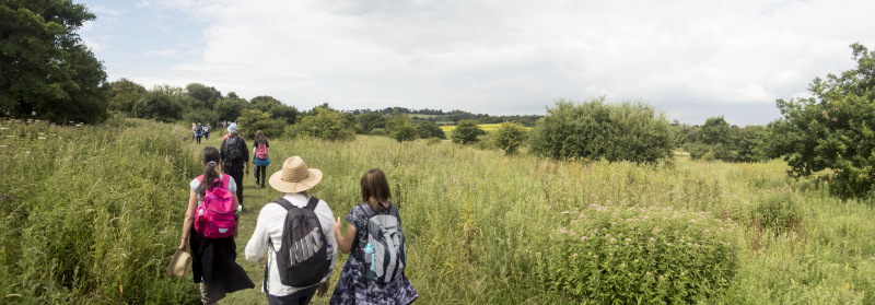 Photograph of Walking Route - Image 21