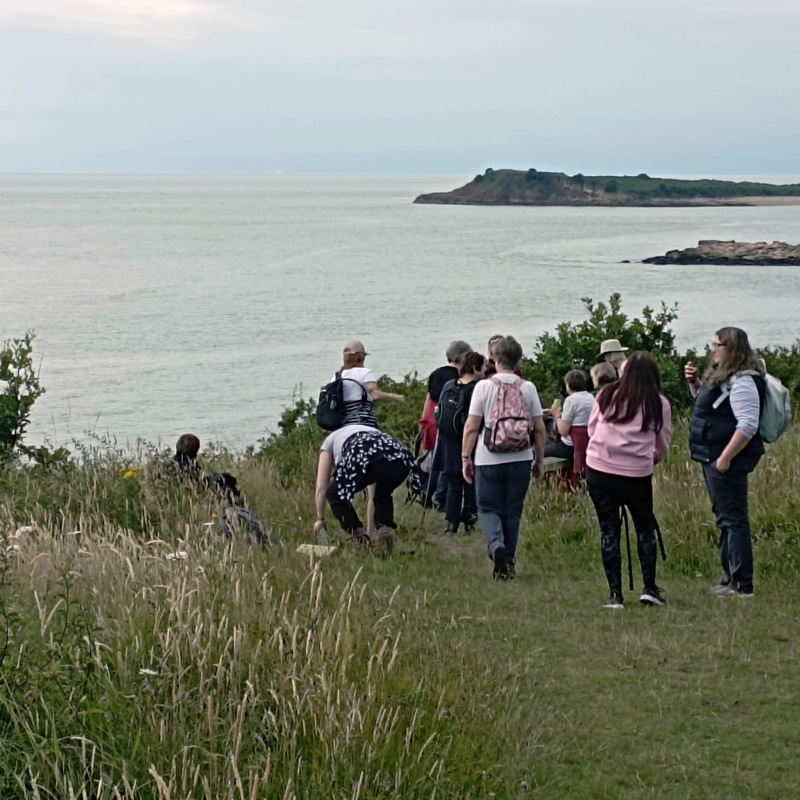 Photograph of Walking Route - Image 28