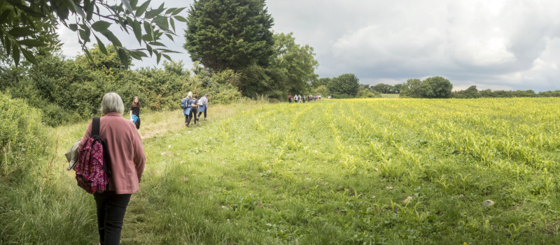 Photograph of Walking Route - Image 30