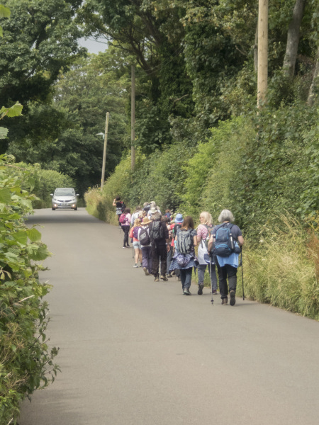 Photograph of Walking Route - Image 39