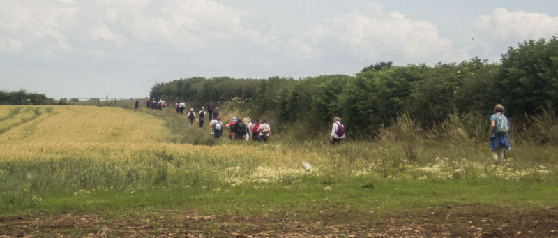 Photograph of Walking Route - Image 45