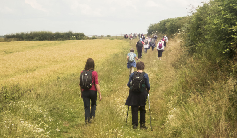 Photograph of Walking Route - Image 46