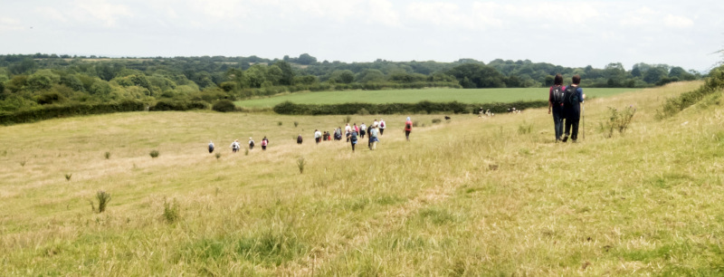 Photograph of Walking Route - Image 47