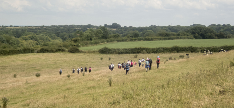 Photograph of Walking Route - Image 48
