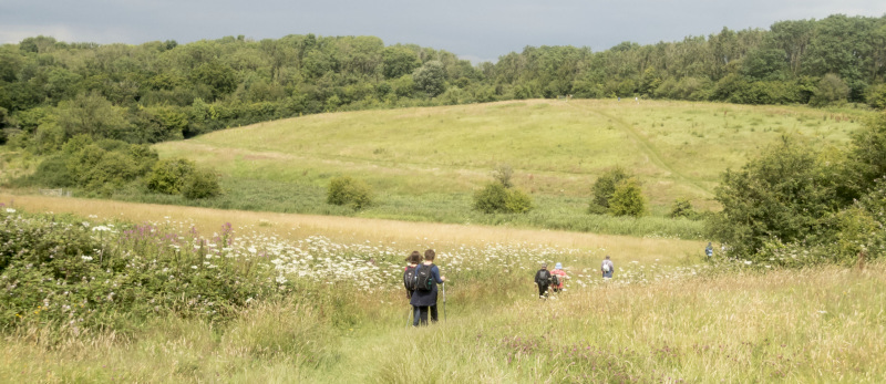 Photograph of Walking Route - Image 49