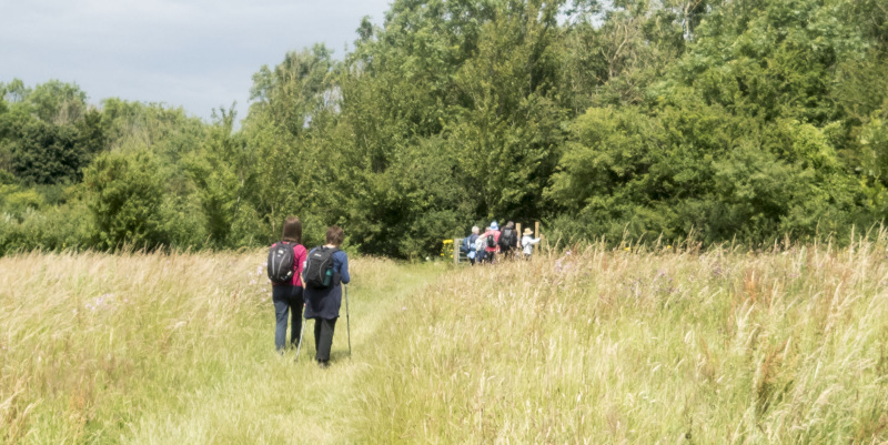 Photograph of Walking Route - Image 51