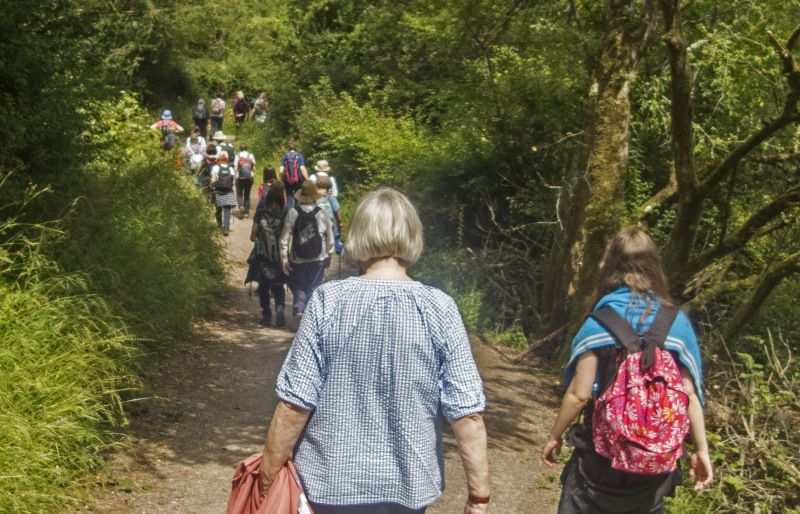 Photograph of Walking Route - Image 52