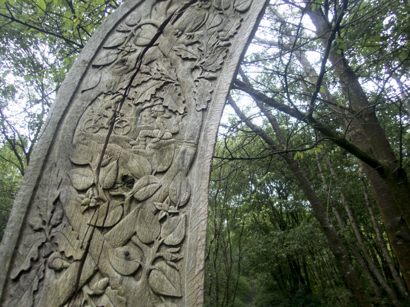 Photograph of Walking Route - Image 5