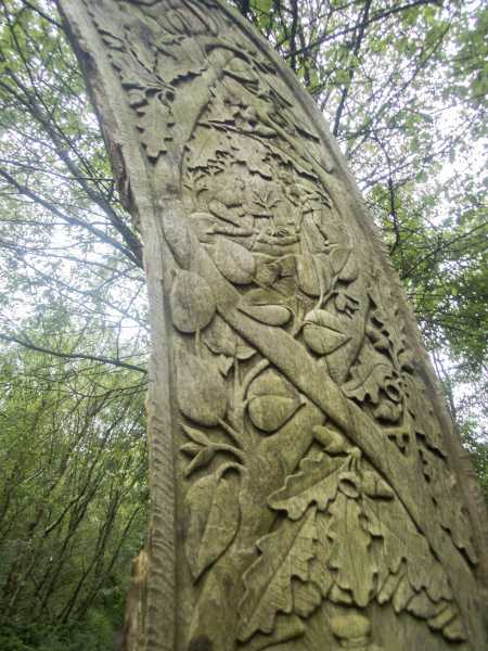 Photograph of Walking Route - Image 7