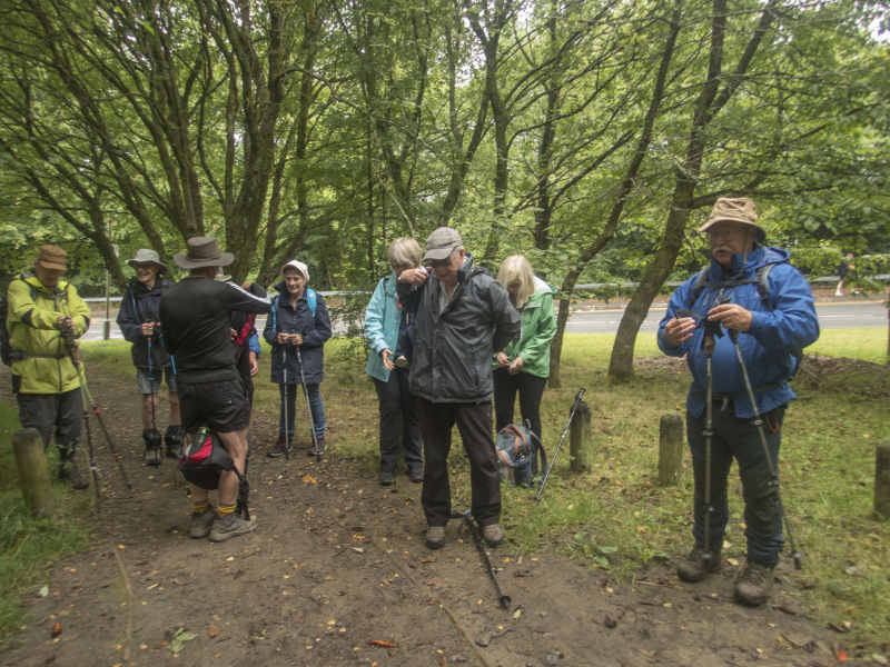 Photograph of Walking Route - Image 8