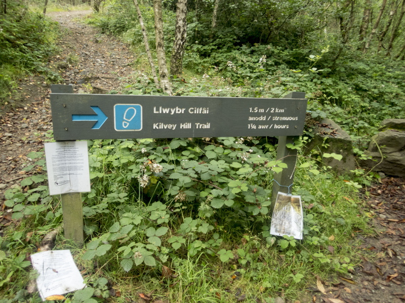 Photograph of Walking Route - Image 9