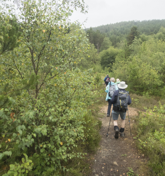 Photograph of Walking Route - Image 11
