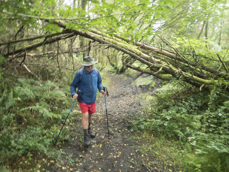 Photograph of Walking Route - Image 12