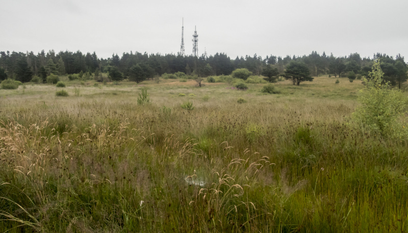 Photograph of Walking Route - Image 16