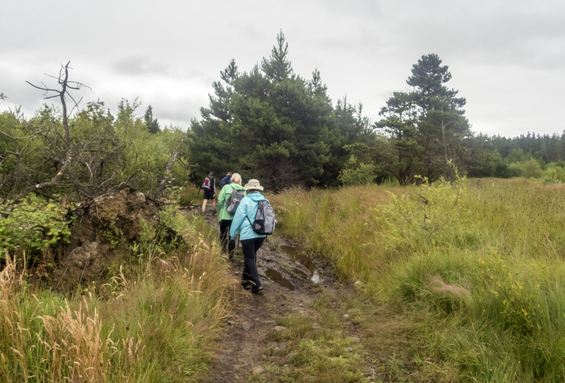 Photograph of Walking Route - Image 17