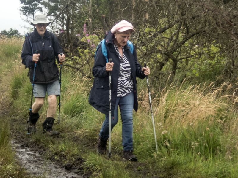 Photograph of Walking Route - Image 18