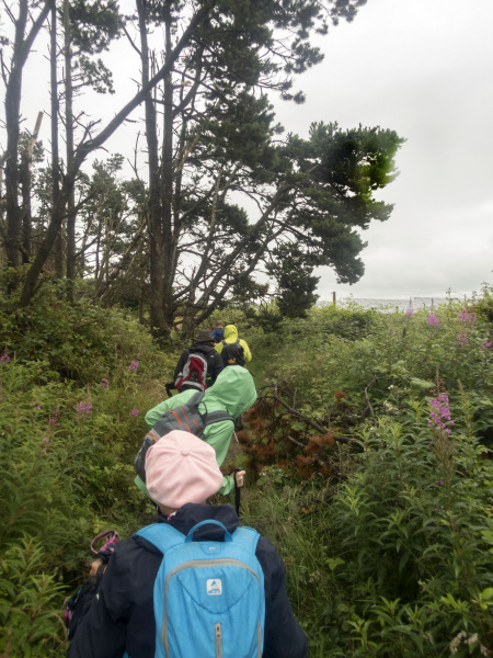 Photograph of Walking Route - Image 21
