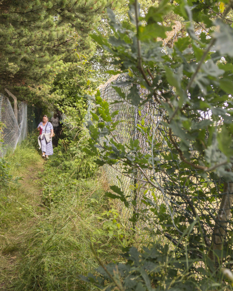 Photograph of Walking Route - Image 3
