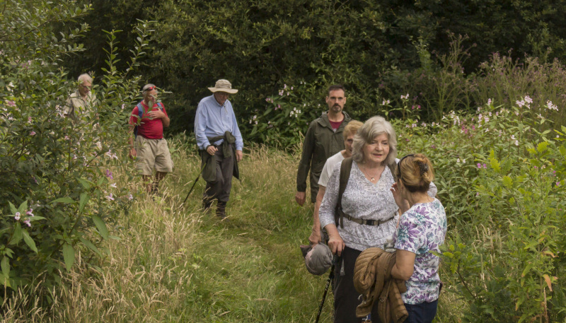 Photograph of Walking Route - Image 10