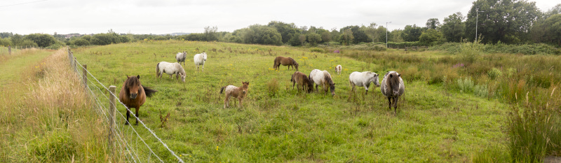 Photograph of Walking Route - Image 11