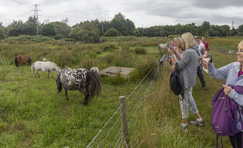 Photograph of Walking Route - Image 13