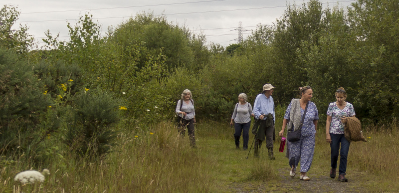 Photograph of Walking Route - Image 14