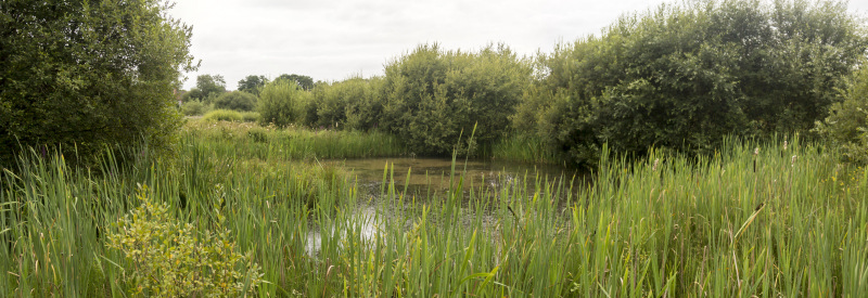 Photograph of Walking Route - Image 15